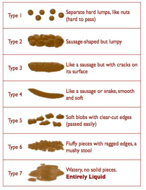 Bristol stool chart illustrating different shapes and types of stools. The source is www.continence.org.au/bristol-stool-chart. 