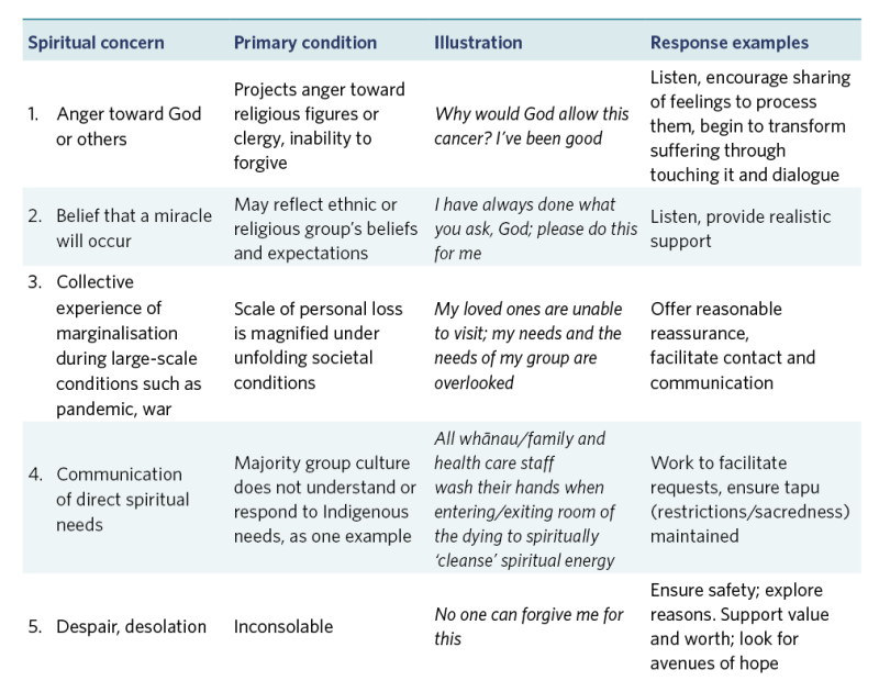 Table showing examples of spiritual distress and possible responses. It covers spiritual concern, primary condition, illustration and response examples. 