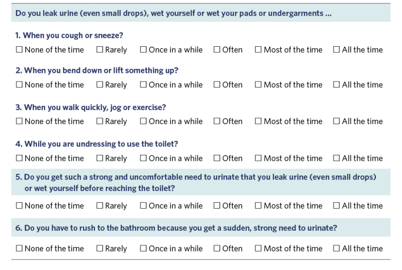 Table of urinary incontinence assessment questions. 