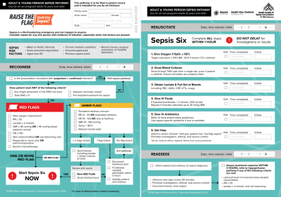 A screenshot of the raise the flag pathway documents