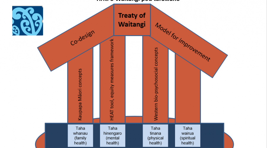 Blog: Māori health advancement – how can we do it?