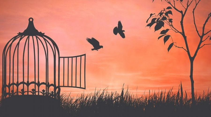 Blog: Why eliminating seclusion by 2020 is an aspirational goal