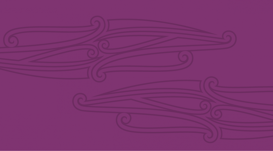 Te kaupapa here mahi tahi me ngā kiritaki me ngā whānau - Consumer and whānau engagement policy