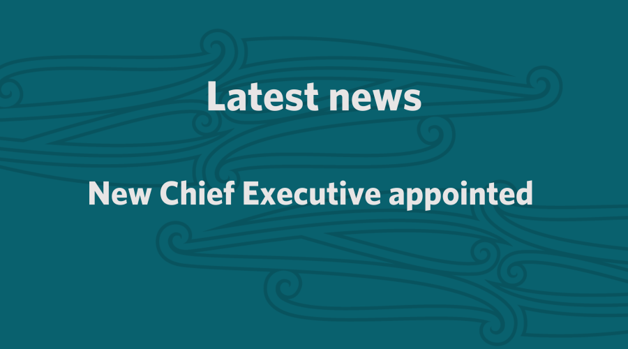 Professor Sunny Collings appointed CE of Te Tāhū Hauora Health Quality & Safety Commission